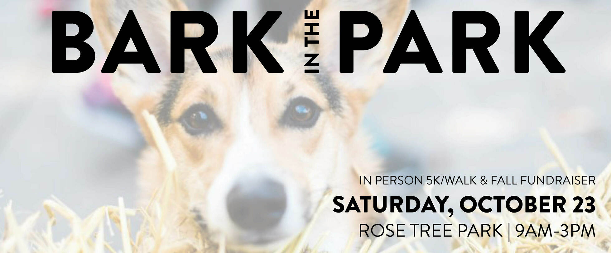 Bark in the Park 5K and Fall Fundraiser 